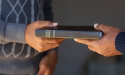 امناء الرسالة التى تعمل
