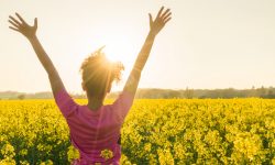 Mixed race African American girl female young woman athlete runner teenager in golden sunset or sunrise arms raised celebrating in field of yellow flowers (Mixed race African American girl female young woman athlete runner teenager in golden sunset or