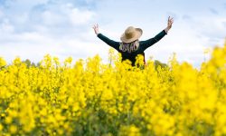 240618-roh-goodness-of-god.jpg__900x473_q90_crop_subsampling-2_upscale