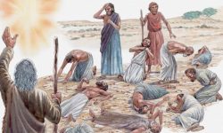 36162-joshua-and-caleb_source_file