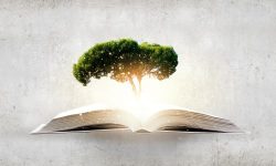 AdobeStock_84097438