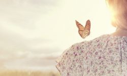 The-Joy-of-the-Lord-