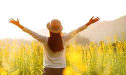 blog-header-5