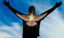 holly spirit