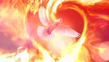 love-holy-spirit-dove-form-footage-165680897_iconl (1)
