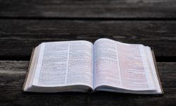 unsplash-image-pl1ZEHd5bB4