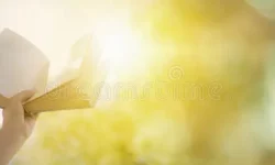 woman-s-hand-holding-book-opening-wisdom-sunshine-as-freedom-knowledge-concept-green-bokeh-background-banner-style-148696419