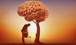 الحكمه المعرفة الفهم