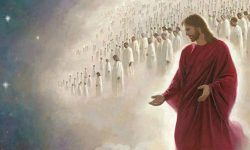 الرحلة الاولى1