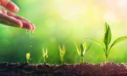 السحابه الصغيرة تعنى شيئا