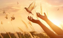 دع ايمانك يثمر نتائج