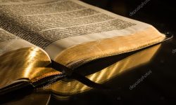 للاستمتاع بالكلمة